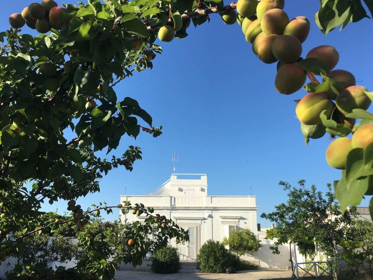 טרני Villa Matinella מראה חיצוני תמונה